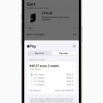 What Is Apple Pay Later In Ios 16?